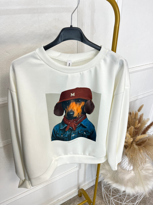 Sudadera perro