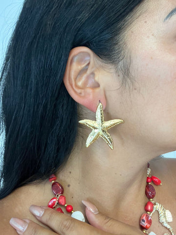 Pendiente Estrella 2