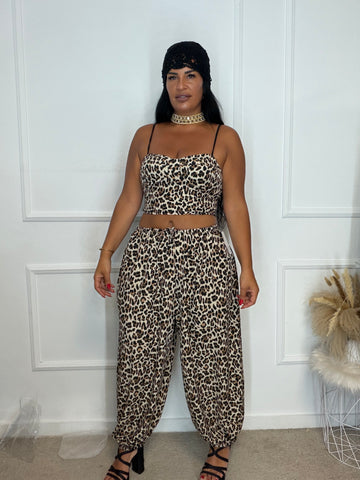Conjunto casco Leo