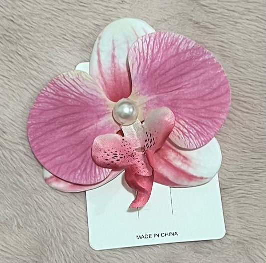 Orquilla flor tropi