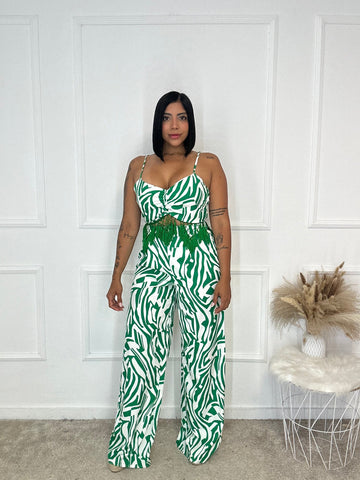 Conjunto Cebra