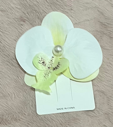Orquilla flor tropi