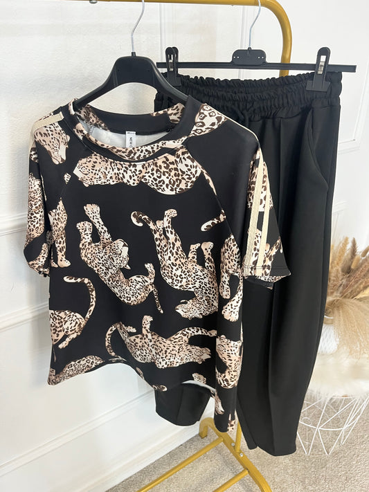 Conjunto Leo