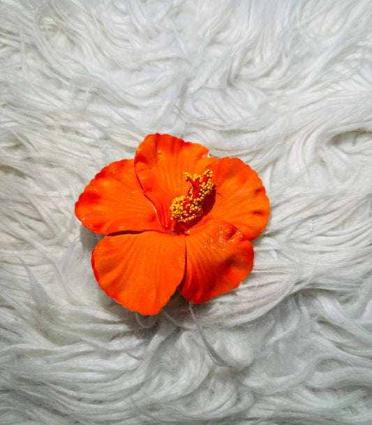 Flor Orquilla