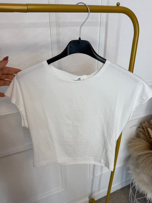 Camiseta algodón