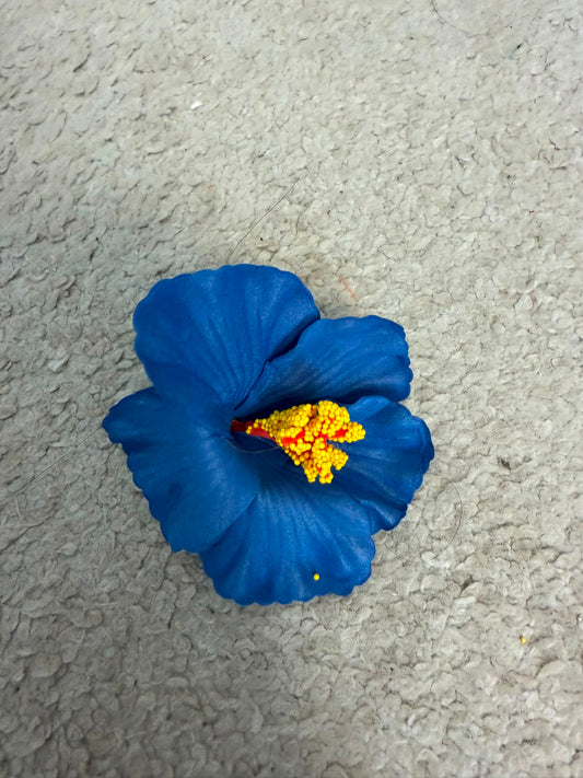 Flor Karol