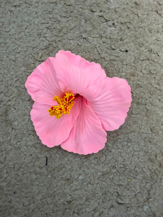 Flor Karol