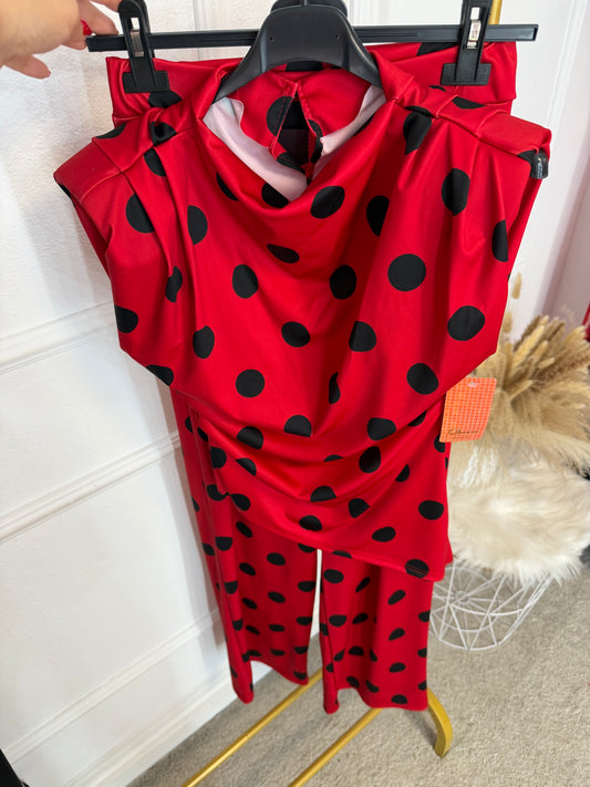 Conjunto lunar licra