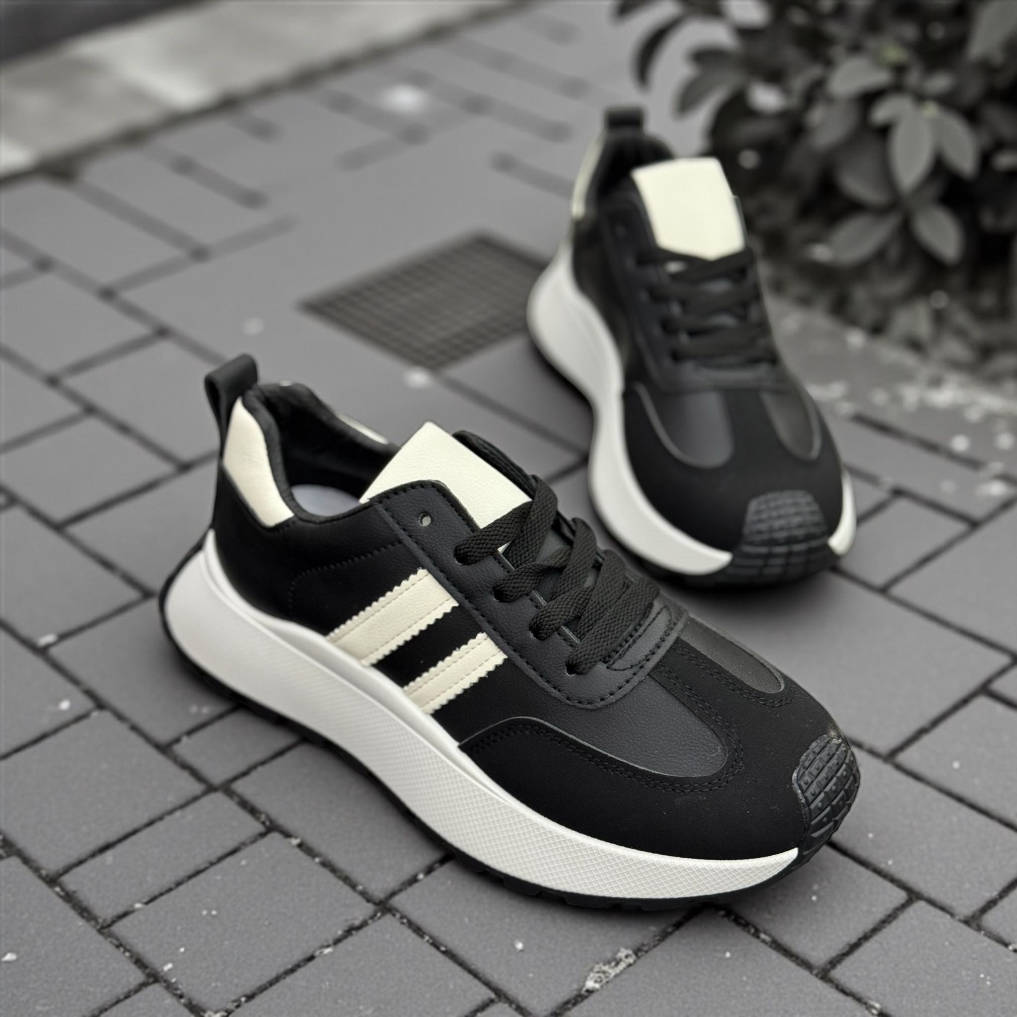 Tenis basic