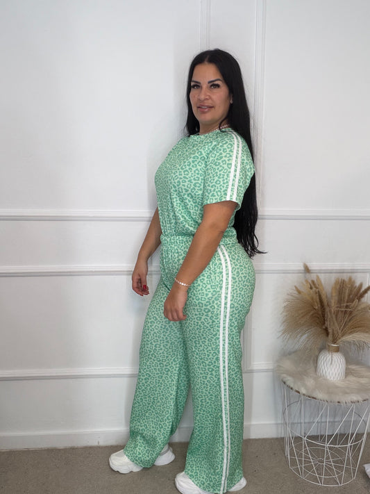 Chandal leo manga corta