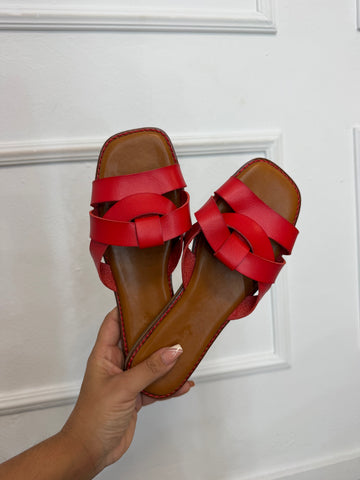 Pala Celia Rojo